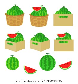 Watermelon Vector on white Background