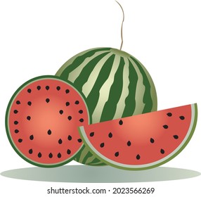 Wassermelonenvektor auf weißem Hintergrund, auf Farbverlauf-Illustrator