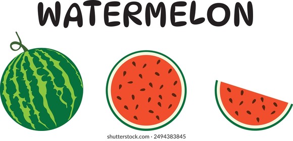 Watermelon vector. Watermelon on white background. wallpaper. free space for text.