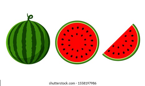 Watermelon vector. Watermelon with red flesh is halved isolate on a white background.