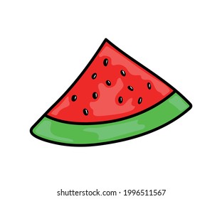 watermelon vector. summer watermelon illustration