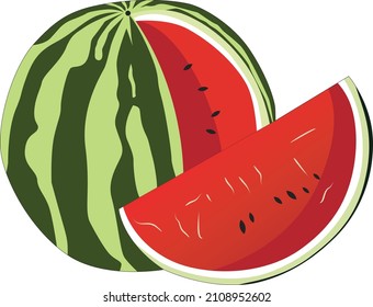 WATERMELON VECTOR FOR YOUR BROCHURE FRUIT DESIGN