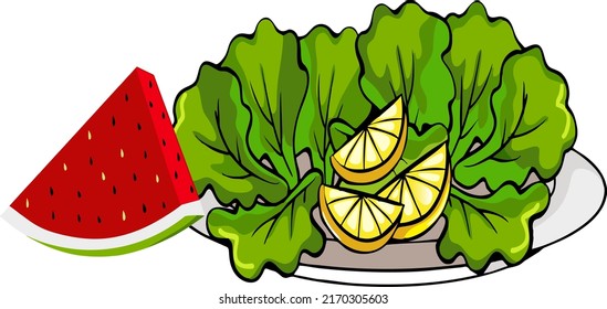 watermelon and vegetable salad illustration