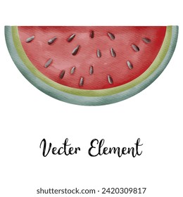 Watermelon watercolor elements for summer.vector illustration.
