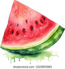 Watermelon Watercolor illustration. Hand drawn underwater element design. Artistic vector marine design element. Illustration for greeting cards, printing and other design projects.