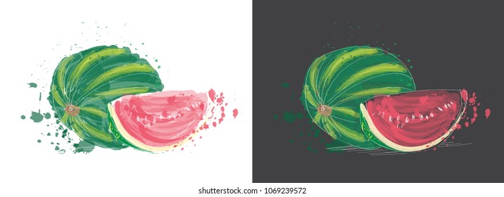 watermelon watercolor illustration. vector hand drawn painting of watermelon. exotic summer fruit on white and dark background. 