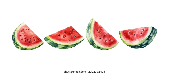 Watermelon watercolor isolated on white background. Set of Healthy summer fruit painting vector illustration