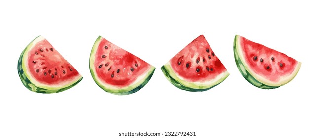 Watermelon watercolor isolated on white background. Set of Healthy summer fruit painting vector illustration