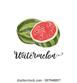 Watermelon watercolor style hand drawn vector illustration