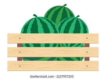 Watermelon. The watermelons are in the box. Healthy plant food. Harvest. Watermelon illustration.