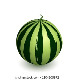 Watermelon whole on a white background.