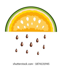 Watermelon yellow and seeds for fashion prints, fabrics, wallpaper, wrapping paper. Vector illustration.