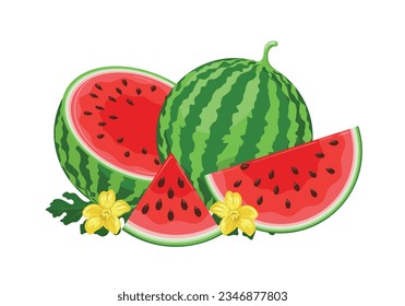 Watermelons cartoon composition. Watermelon red berry whole half pieces flower leaves yummy fruits, watermelon health diet section slices pieces with seeds