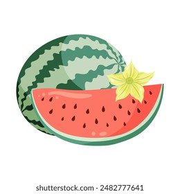 Watermelons composition with whole fruit and a slice, watermelon plant flowers. Flat vector illustration. Tropical fruit drawing for food graphics, summer designs, menu, logo, stickers.