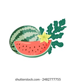 Watermelons composition with whole fruit and a slice, watermelon plant leaves and flowers. Flat vector illustration. Tropical fruit drawing for food graphics, summer designs, menu, logo, stickers.