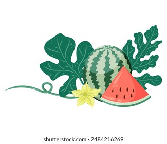 Watermelons composition with whole fruit and a slice, watermelon plant leaves and flowers. Flat vector illustration. Tropical fruit drawing for food graphics, summer designs, menu, logo, stickers.
