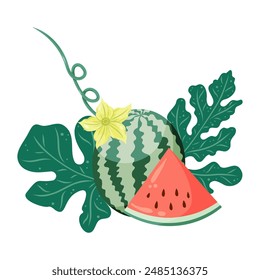 Watermelons composition with whole fruit and a slice, watermelon plant leaves and flowers. Flat vector illustration. Tropical fruit drawing for food graphics, summer designs, menu, logo, stickers.