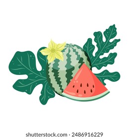 Watermelons composition with whole fruit and a slice, watermelon plant leaves and flowers. Flat vector illustration. Tropical fruit drawing for food graphics, summer designs, menu, logo, stickers.