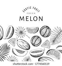 Watermelons, melons and tropical leaves design template. Hand drawn vector exotic fruit illustration. Engraved style fruit frame. Retro botanical banner.