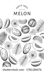 Watermelons, melons and tropical leaves design template. Hand drawn vector exotic fruit illustration. Engraved style fruit frame. Retro botanical banner.