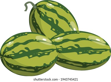 Watermelons vector illustration isolated on white background