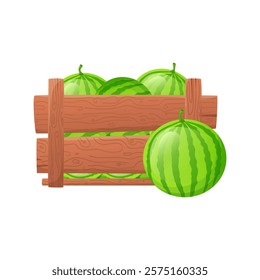 Watermelons in wooden box in flat design. Vector illustration isolated.