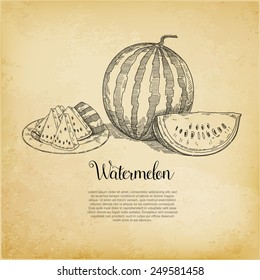watermelon,vector hand drawing