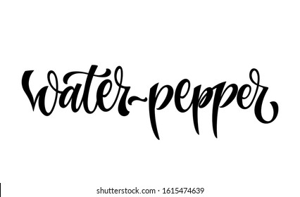 Water-pepper - vector hand drawn calligraphy style lettering word. Isolated script spice text label. Labels, shop design, cafe decore etc
