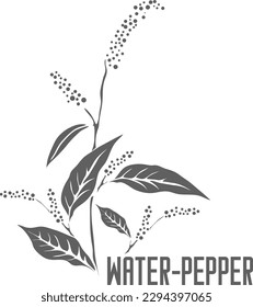 Water-pepper vector silhouette. Polygonum hydropiper medicinal herb outline. Set of Water pepper leaves and flowers in Line for medicine vector image. Contour drawing of Water pepper healing flower.