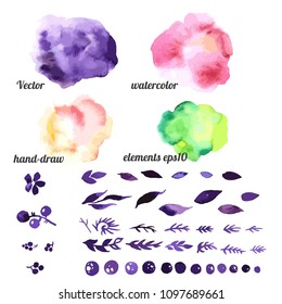 Watrcolor hand draw vector elements for design. Colorful splash, floral elements, leaf and berries