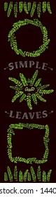 Wattles (acacias) leaves pattern package.  Green eco botanical frames set - round, square, wreath, line border.