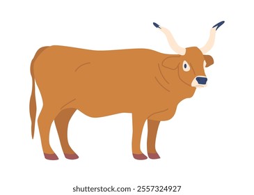 Watusi bull with huge horns