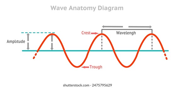 Wave anatomy diagram. Amplitude, waveform, crest, trough. Longitude, compression. laws propagation. Audio frequency, high pitch note, voltage volume. Red, blue line rhythm. Vector illustration	