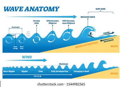 Wave anatomy vector illustration. Water movement physics explanation scheme. Educational circular orbit, elliptical transformation and breaking in surf zone graph. Fetch diagram with ripples and chops