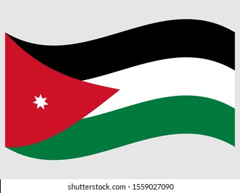 Wave Flag of Jordan Vector