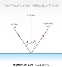 Wave Under Reflection Model - Physics Education Vector Illustration