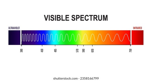 Wavelength, sichtbare Lichtspektralwelle von Ultraviolett bis Infrarotfrequenz. Physikalische und elektromagnetische Vektorgrafiken mit Farbverlauf-Diagramm oder Diagramm für sichtbares menschliches Auge