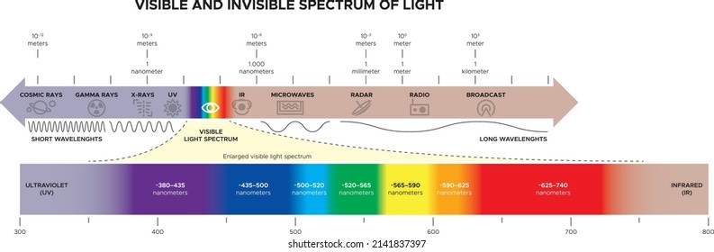 Wavelengths of the visible part of the spectrum for human eyes. The visible and invisible parts of the spectrum of white light. Dispersion of white light. Infographic.