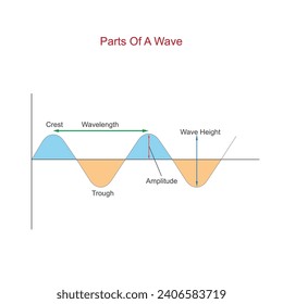 Waves consist of crests and troughs, representing the highest and lowest points, with wavelength as the distance between successive crests or troughs.
