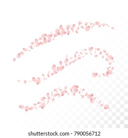 Waves of Plum Blossoms. Design element. Vector illustration. 
