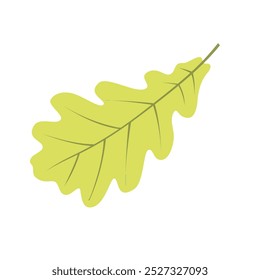 Wave-shaped acorn tree leaf autumn leaves illustration