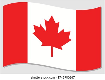 Waving flag of Canada vector graphic. Waving Canadian flag illustration. Canada country flag wavin in the wind is a symbol of freedom and independence.