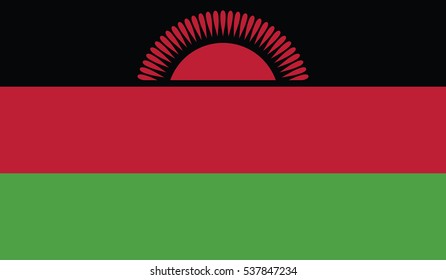 Waving flag of Malawi