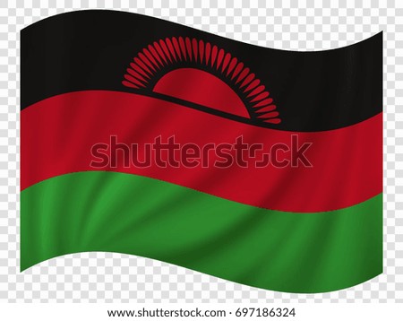 Waving Flag of Malawi. Vector illustration