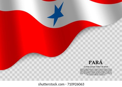 waving flag of Pará is a state of Brazil on transparent background. Template for banner or poster. vector illustration