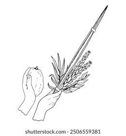 Waving the Lulav line vector illustration in black and white for Jewish Sukkot holiday coloring. Man's hands holding four species of palm leaf, myrtle, willow and Etrog