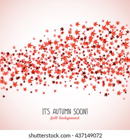 Wavy band made from red maple leaves. Fall is coming. Copy space. Background of autumn leaves. Momiji. Frame for text. Autumn concept. Vector illustration.