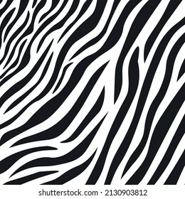 Wavy black and white zebra fur texture - Vector illustration