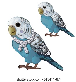 Wavy blue parrot (budgerigar) isolated on white background. Tropical domesticated bird with a necklace of pearls. Animated vector cartoon close-up illustration.