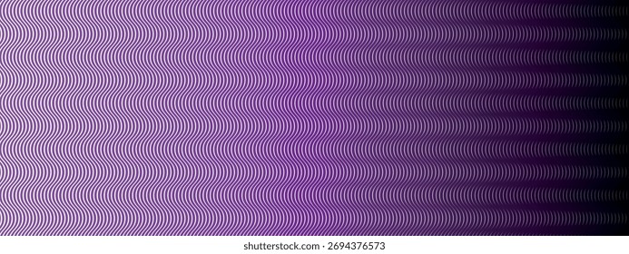 Wavy gradient background with line thickness fade. Vector pattern with black and purple curves on white backdrop